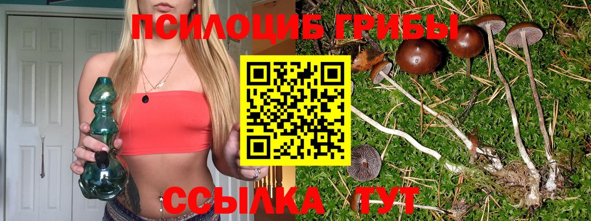 Галлюциногенные грибы GOLDEN TEACHER  Вход с VPN  Петропавловск-Камчатский 